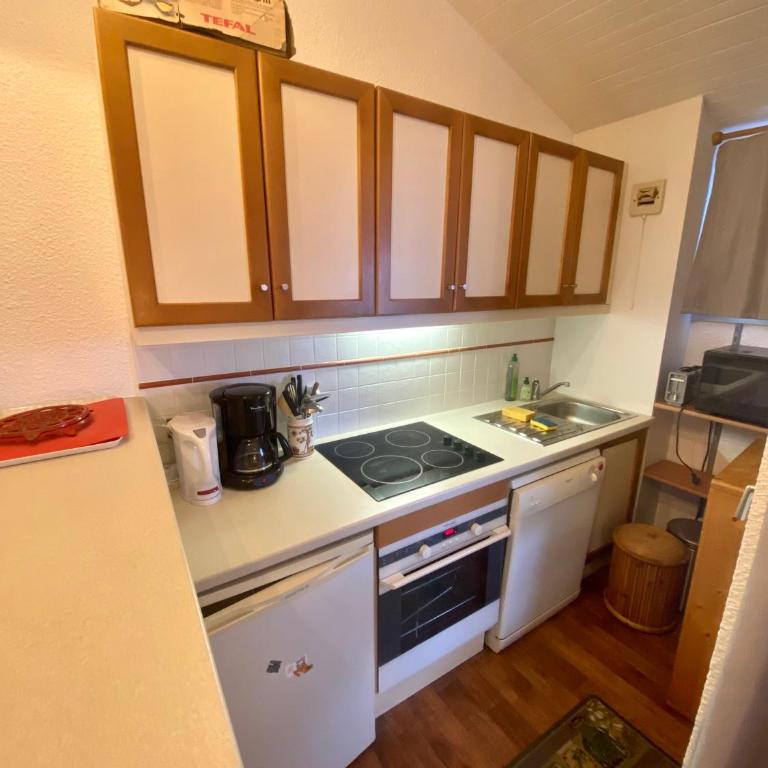 DUPLEX 6P A BELLE-PLAGNE (2050 m), SKIS AUX PIEDS, EN PLEIN CŒURS DE LA STATION RESIDENCE LE BERYL. - Appartement 2 Chambres - 14