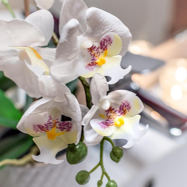 Wine Apartments Florence Ciliegiolo - Two-Bedroom Apartment - 19