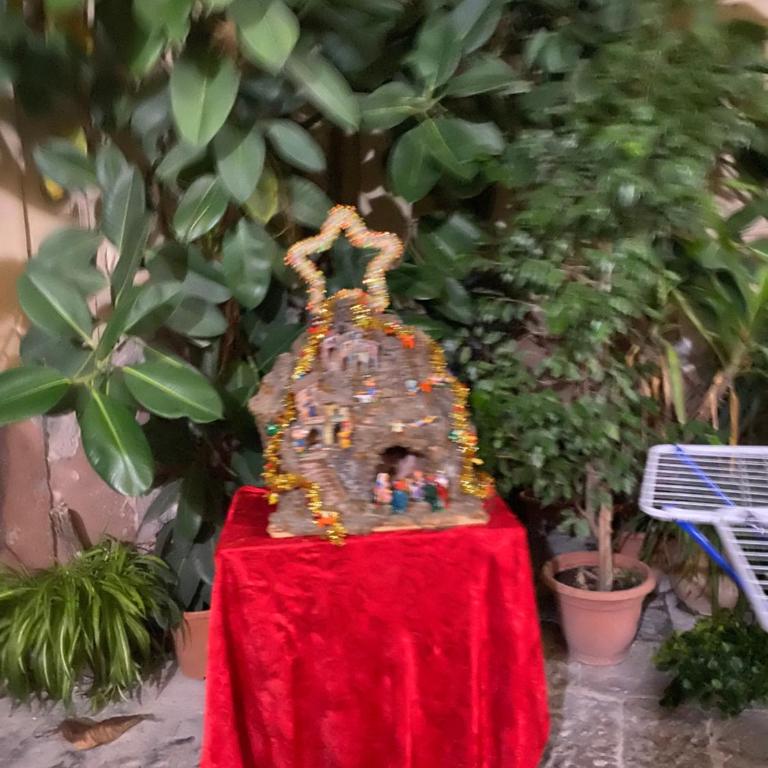 The paradise house - Appartamento con 1 Camera da Letto - 44