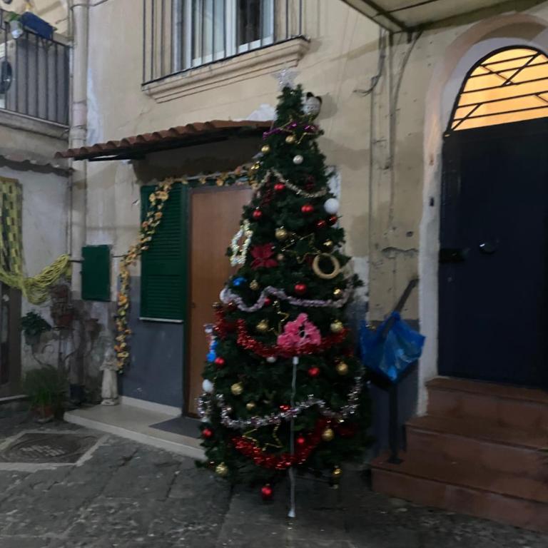 The paradise house - Appartamento con 1 Camera da Letto - 46