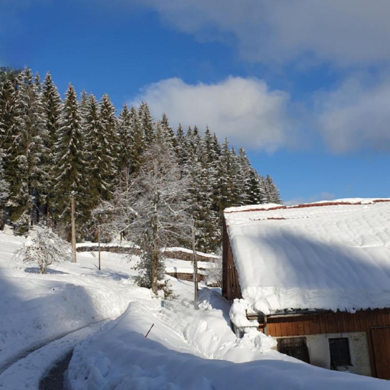 La Ferme du Badon - Appartement - 7
