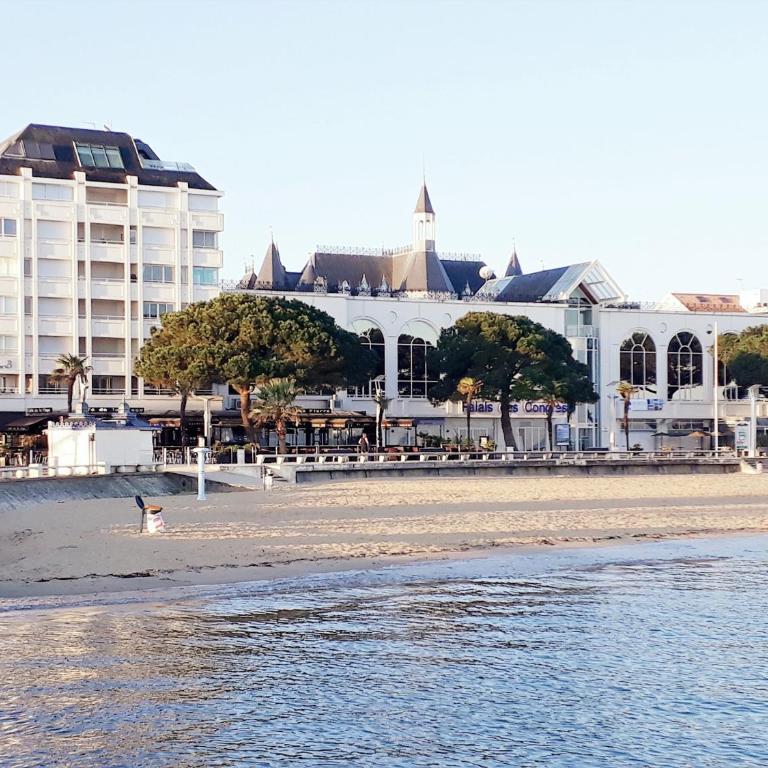 Arcachon T3 Lumineux 50m Plage Centre Ville avec Parking et WIFI - FR-1-420-60 - Appartamento (4 Adulti) - 10