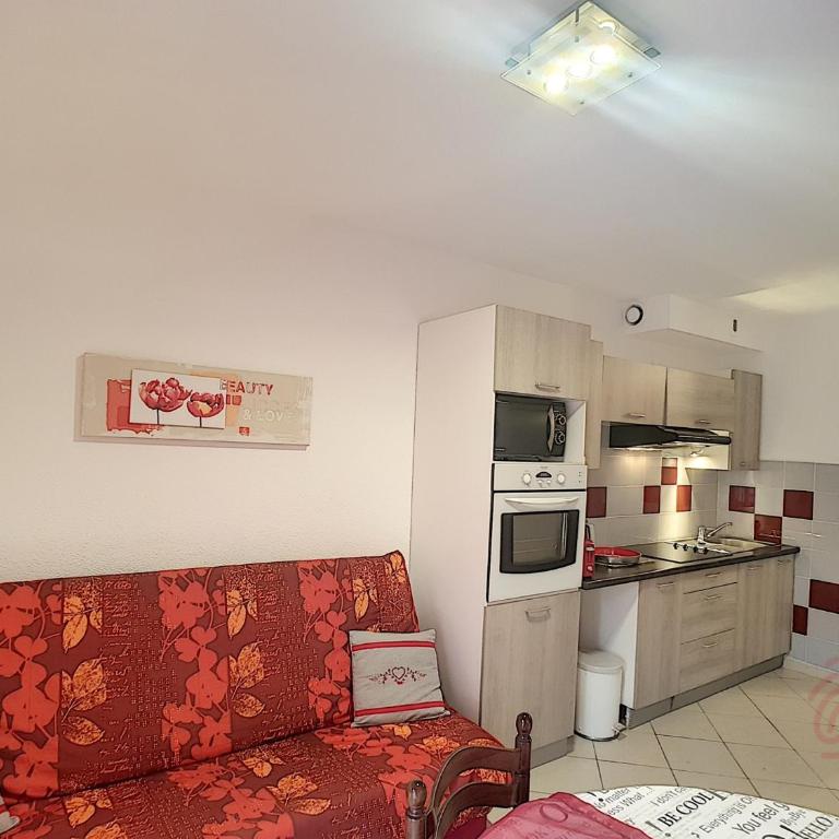 Bel F2 climatisé à 400m du centre, WiFi, animaux acceptés - FR-1-451-22 - Appartement 1 Chambre - 4