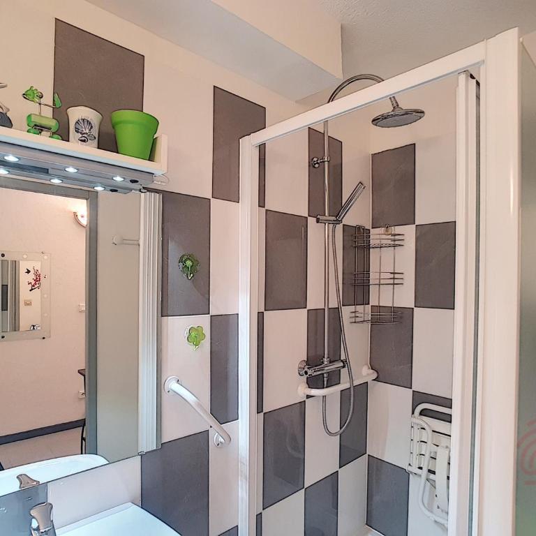 Bel F2 climatisé à 400m du centre, WiFi, animaux acceptés - FR-1-451-22 - Appartement 1 Chambre - 10