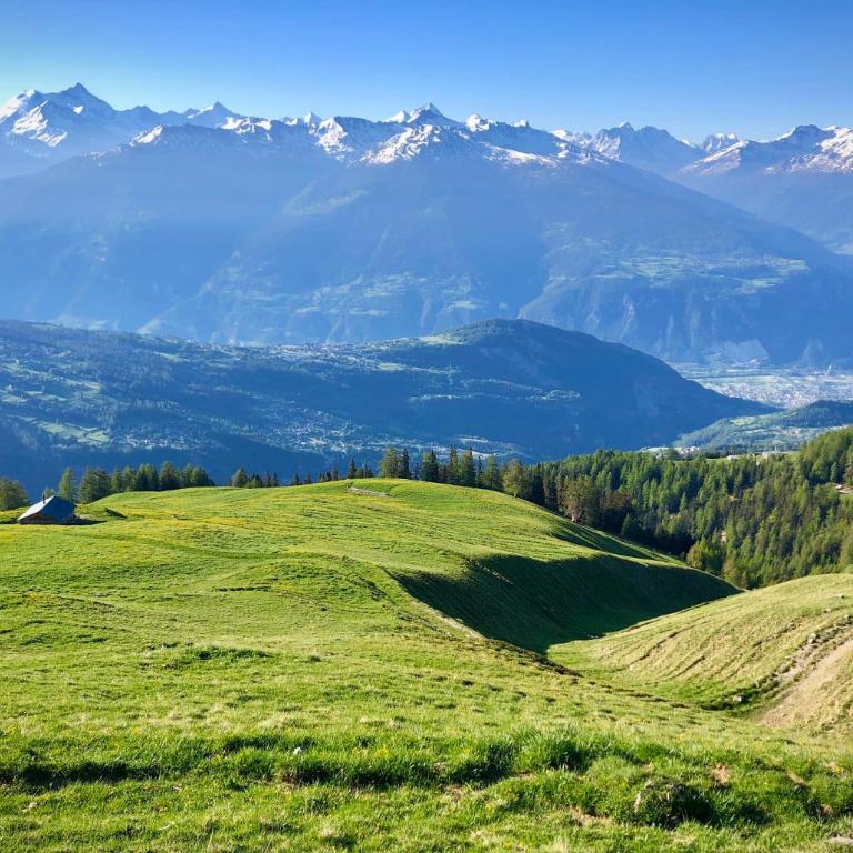 Chalet la Regin Anzere - Chalet mit 3 Schlafzimmern - 12