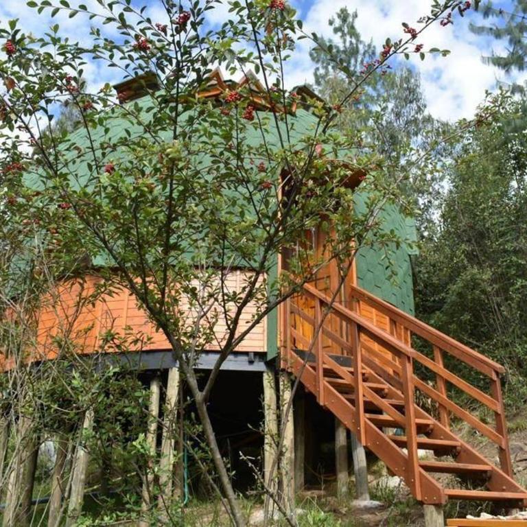 Domo La Esmeralda Glamping Familiar 5P - One-Bedroom House - 7