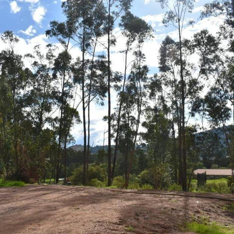 Domo La Esmeralda Glamping Familiar 5P - One-Bedroom House - 23