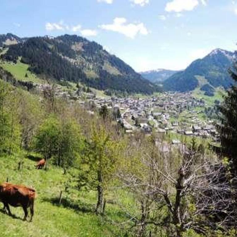 Appartement 4 pers avec balcon et parking à Châtel - FR-1-198-98 - Appartement (4 Adultes) - 9