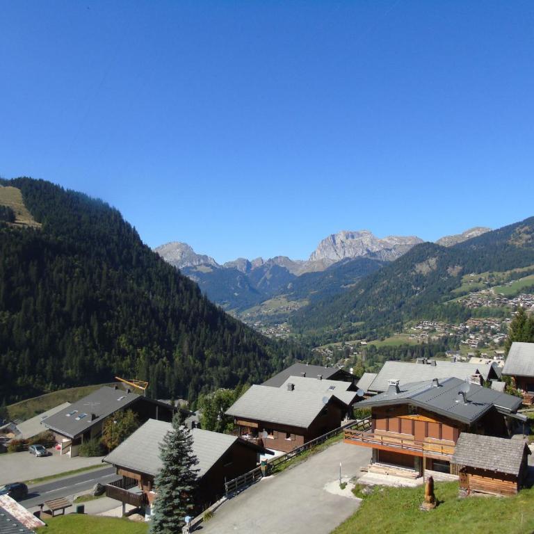 Appartement spacieux 6 personnes avec balcon à Châtel - FR-1-198-127 - Appartement (6 Adultes) - 15