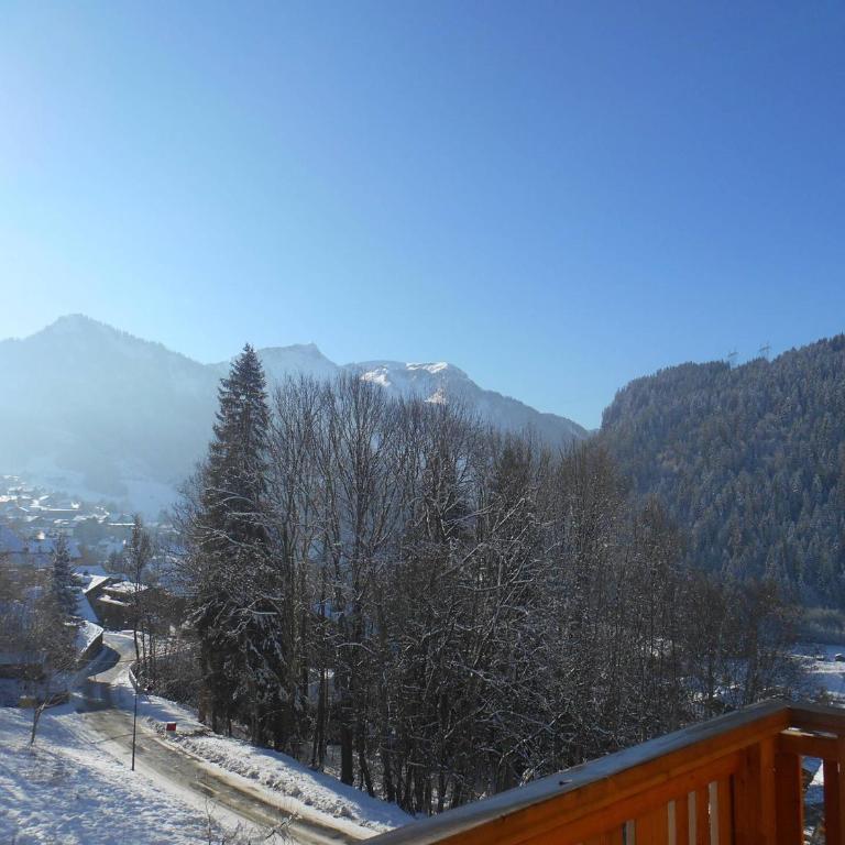 Appartement spacieux 3* - 6 pers avec balcon à Châtel - FR-1-198-184 - Appartement (6 Adultes) - 8