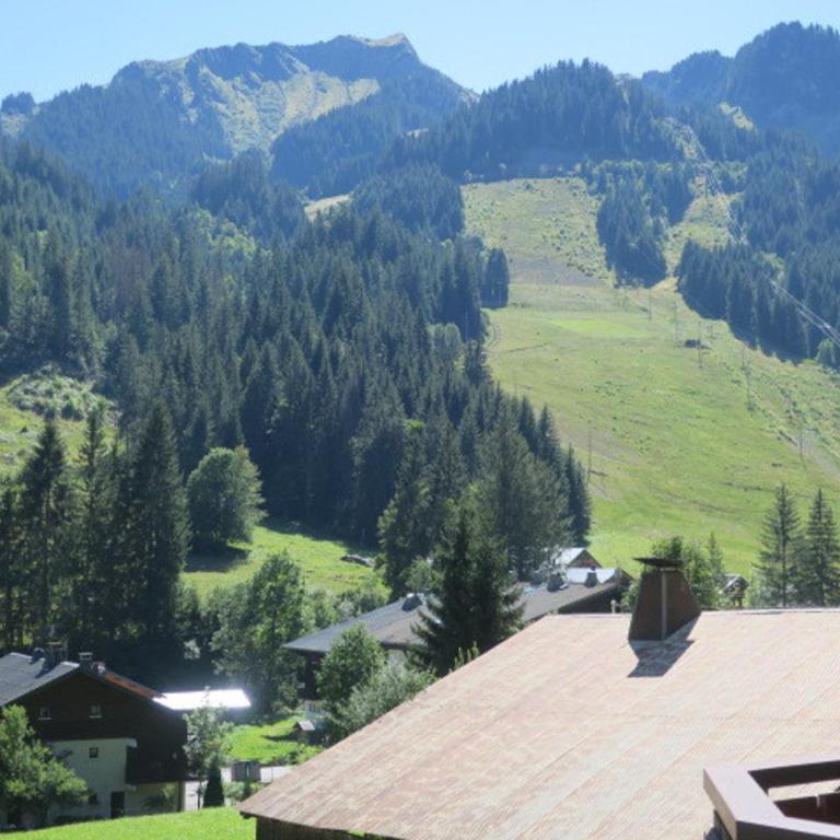 Appartement 6 personnes avec balcon sud et parking à Châtel - FR-1-198-189 - Apartamento (6 adultos) - 7