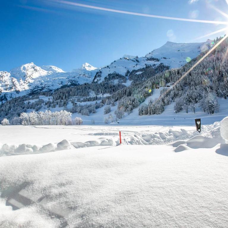Appartement plein Sud avec garage à La Clusaz - FR-1-437-83 - Appartamento (4 Adulti) - 3