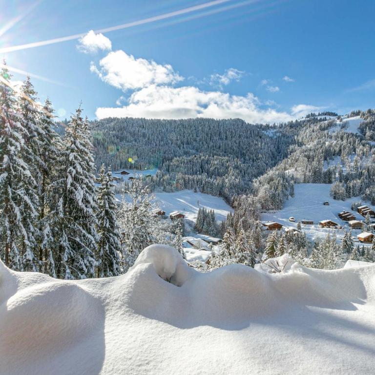 Chalet 4 Étoiles 13 Pers. à La Clusaz - Grande Terrasse, Garage, WIFI, Arrêt Skibus à Proximité - FR-1-437-81 - Chalé (13 adultos) - 5