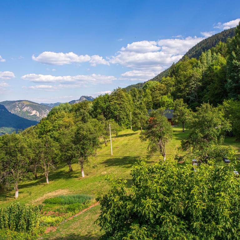 Apartmani Rocen - Two-Bedroom House - 7