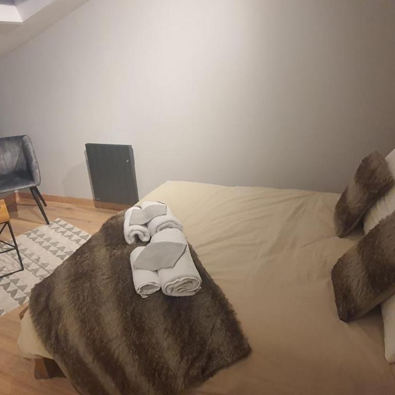Duplex Aiguille du midi CHAMONIX - Appartement 1 Chambre - 4