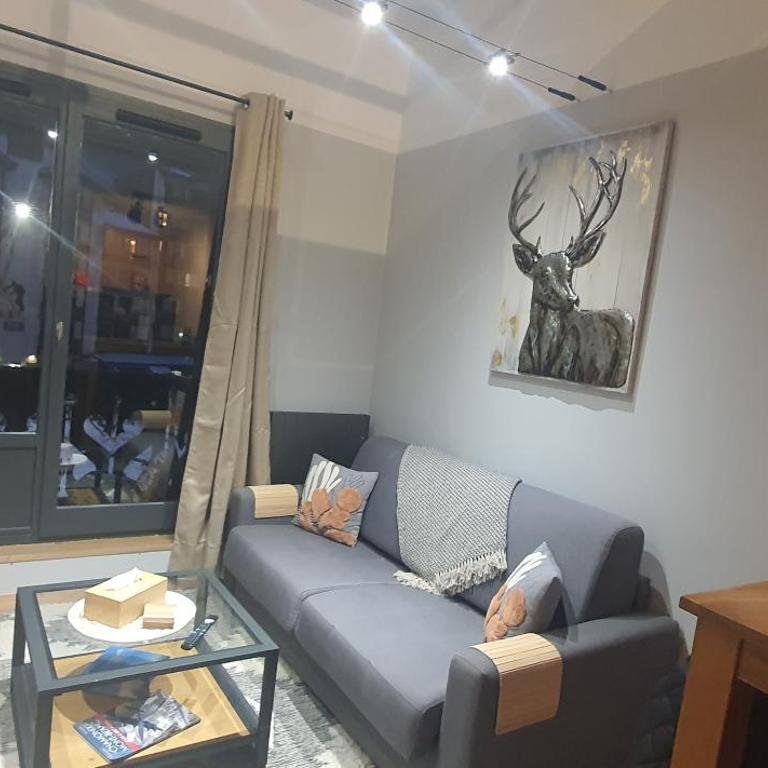 Duplex Aiguille du midi CHAMONIX - Appartement 1 Chambre - 1