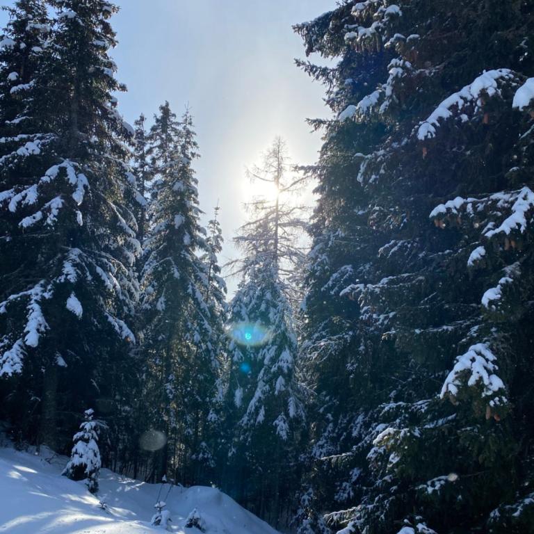 Holzknechthütte - Superior Chalet - 64