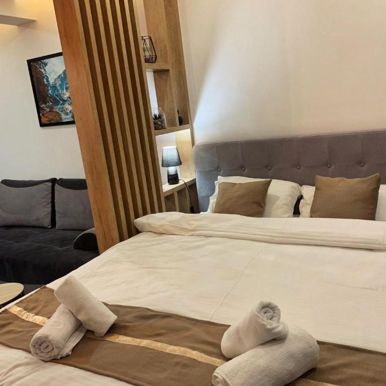FIONA Kopaonik - Apartman sa 1 Spavaćom Sobom - 5