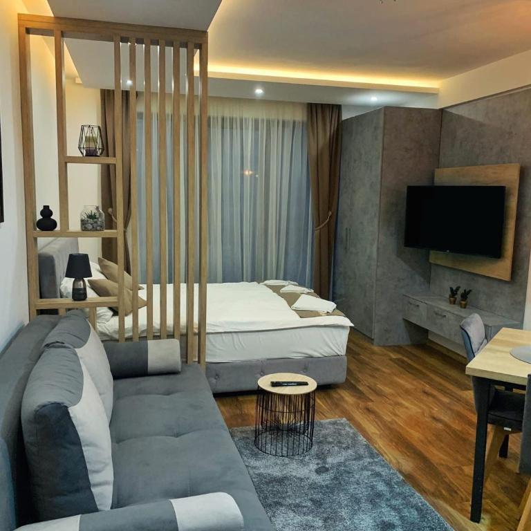 FIONA Kopaonik - Apartman sa 1 Spavaćom Sobom - 6