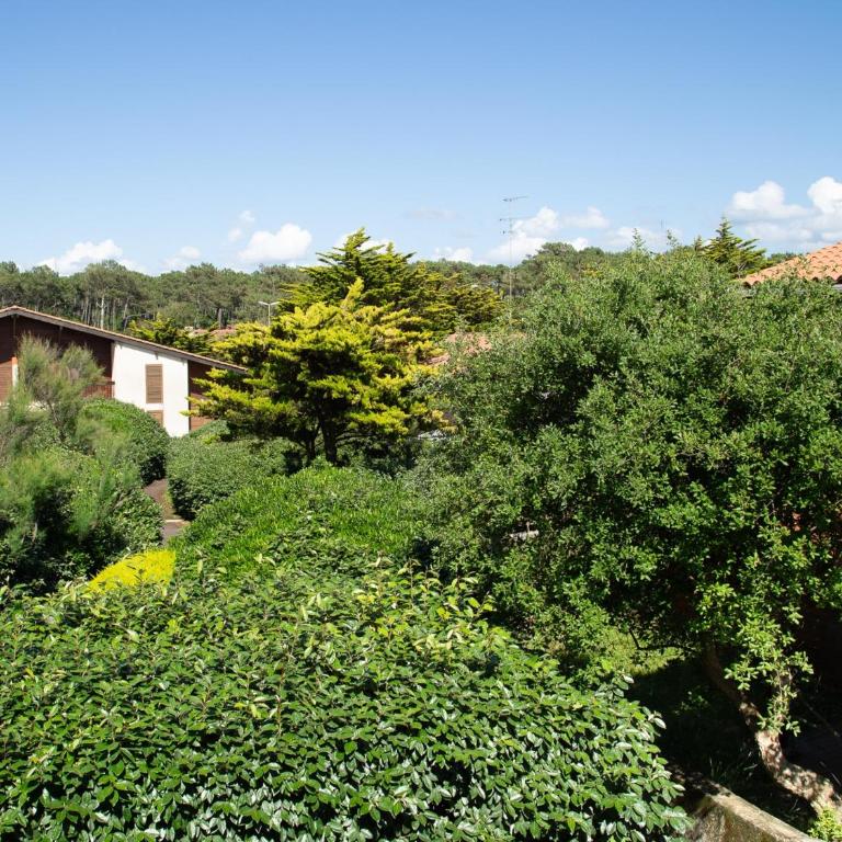 Villa Mitoyenne avec Jardin, Proche Plage à Seignosse, Piscine, Parking Privé et Wifi - Casa con 1 Camera da Letto - 12