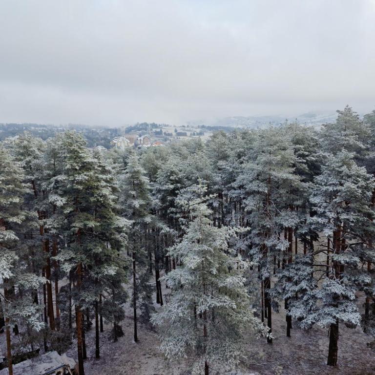 Zlatibor Royal Dream - One-Bedroom Apartment - 28
