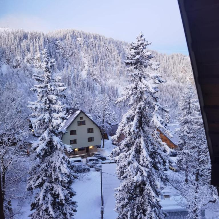 Nivalis Residence *apartman 20* - Three-Bedroom Apartment - 54