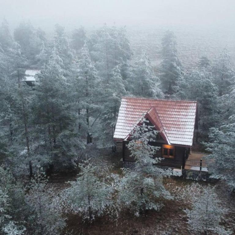 Previja Zlatibor Chalet - Brvnara sa 1 Spavaćom Sobom - 11