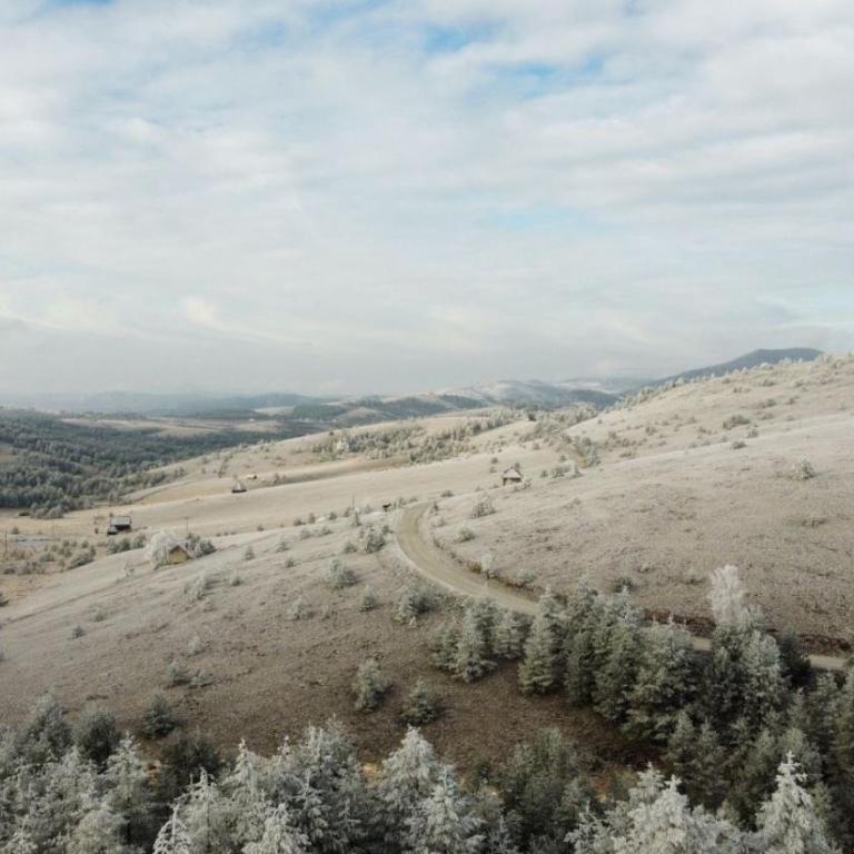 Previja Zlatibor Chalet - Brvnara sa 1 Spavaćom Sobom - 8