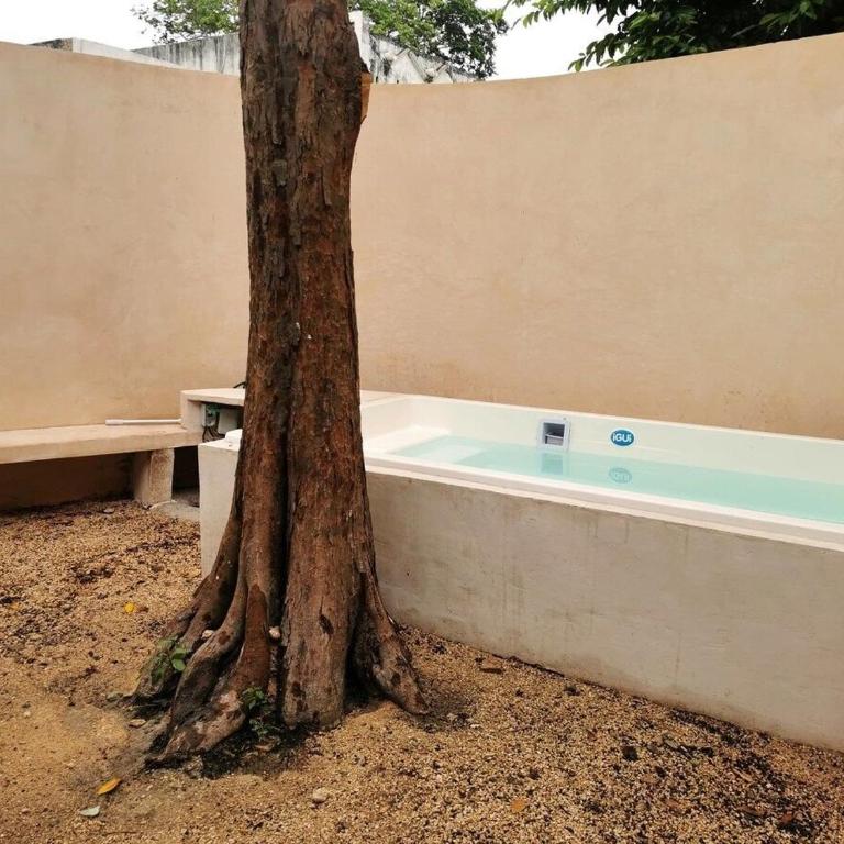 CASA MARA 41 Pool with hot tub - One-Bedroom House - 13