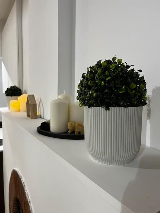 LE MÉDITERRANÉEN - Terrasse - Parking - Apartamento de 1 dormitorio - 18