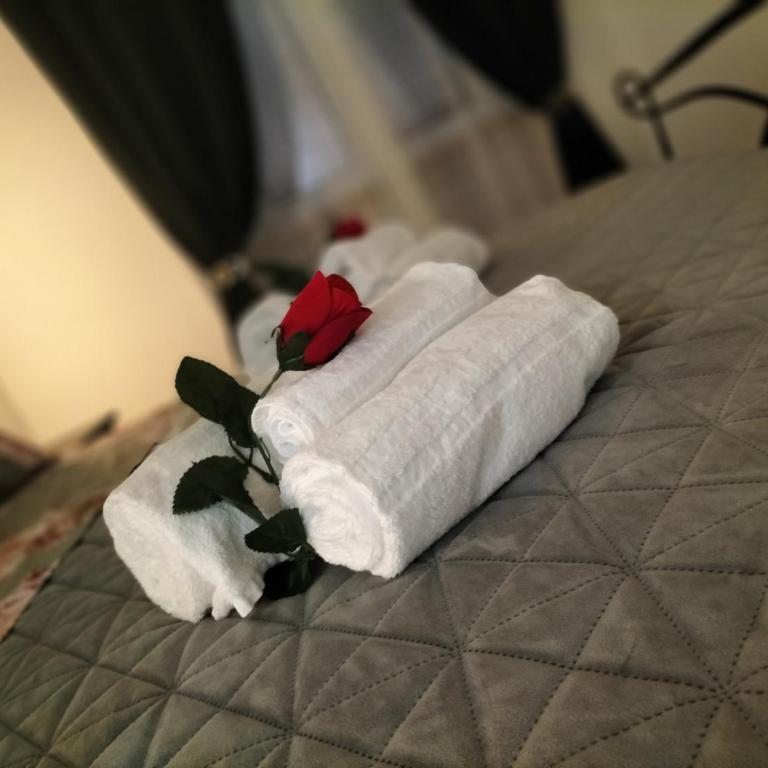 Red Roses Domus Rome - Appartamento con 1 Camera da Letto - 22