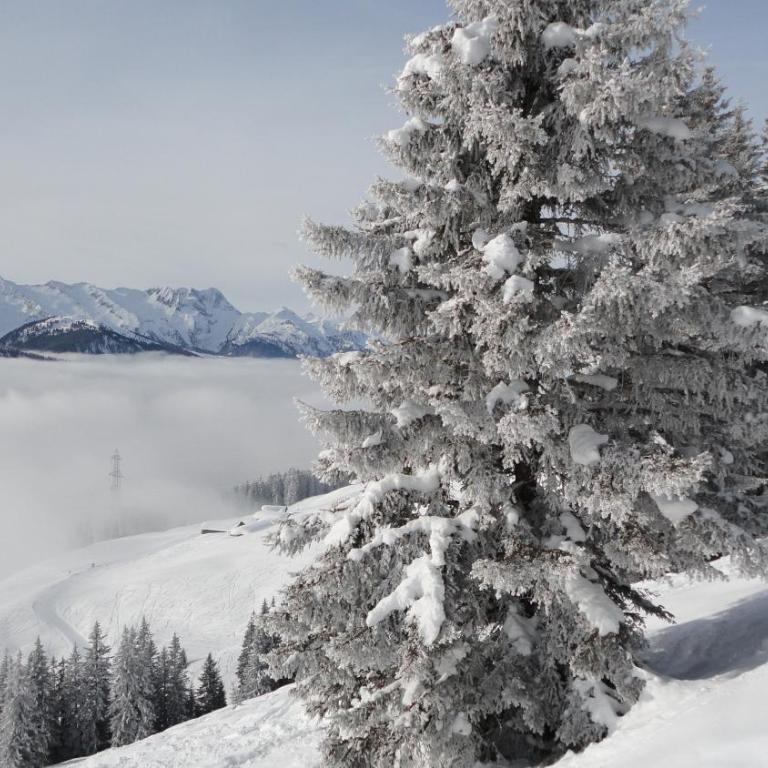 Chalet Anna Appartment - Two-Bedroom Apartment - 25