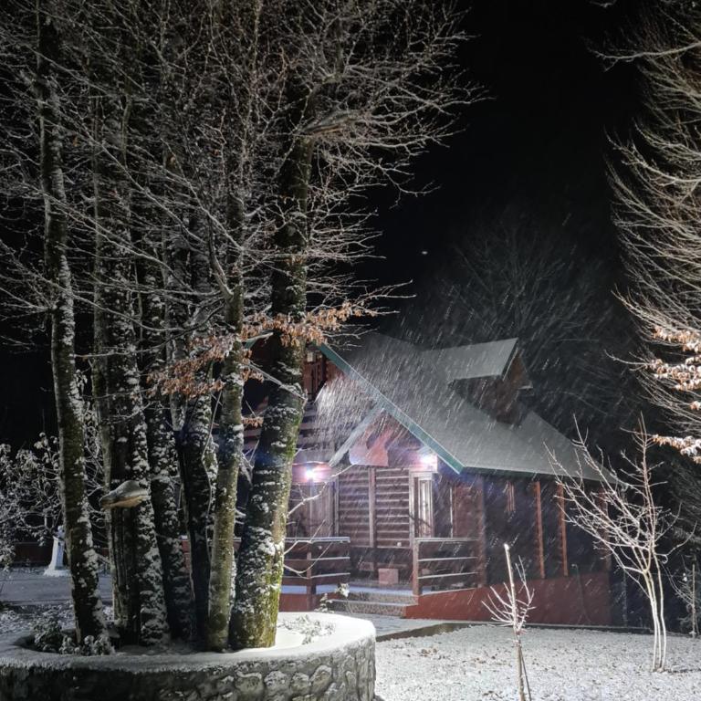 Vikendica Crkvina - Kuća sa 3 Spavaće Sobe - 42