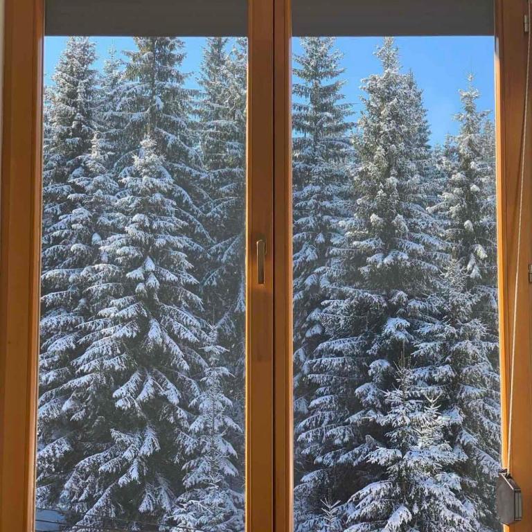 Apartman Jahorina 6 - Apartman sa 2 Spavaće Sobe - 1