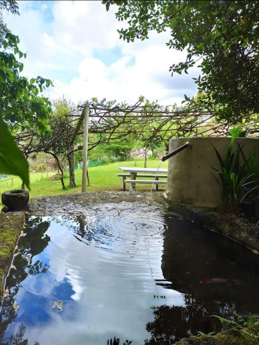 A Viña de Lina. Turismo rural con piscina y finca. - Three-Bedroom House - 33