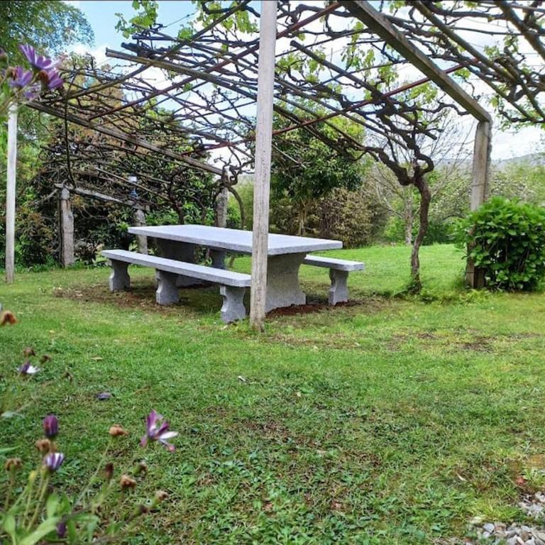 A Viña de Lina. Turismo rural con piscina y finca. - Three-Bedroom House - 31