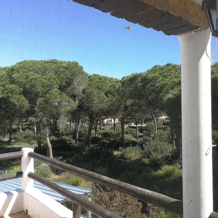 VillaConil - Villa con piscina privada - 10