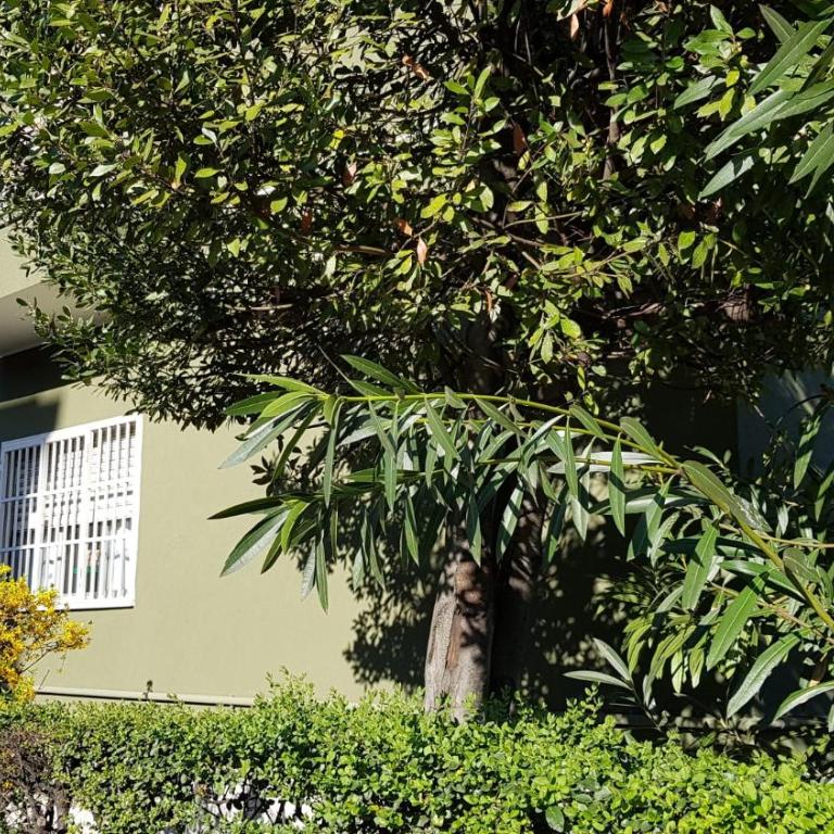 I Host apartment - Cossa 19 - Appartamento con 1 Camera da Letto - 31