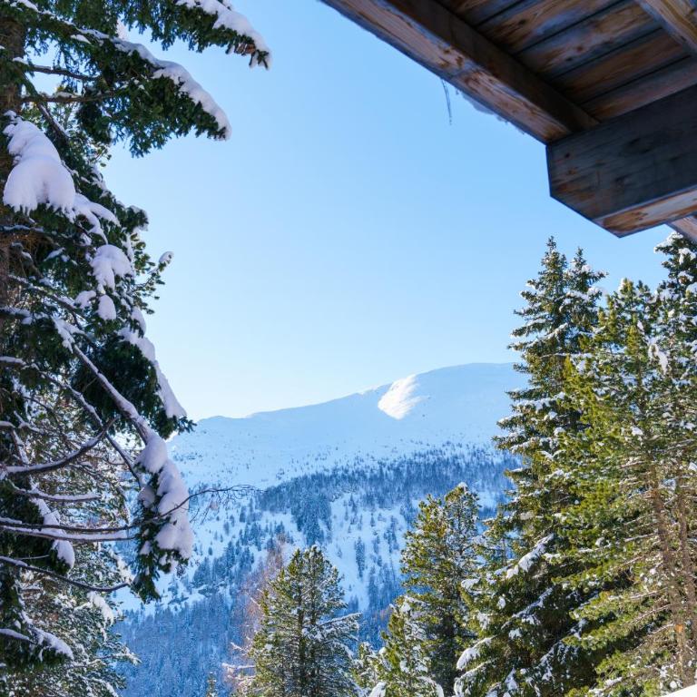 Luxalps- Turrach Alm Chalets Nr 1-4 Grünsee- Sauna- Skifahren- Wandern- Natur - Chalet - 3