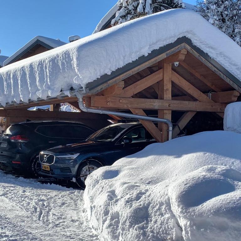 Chalet et studio "La Fée des Neiges" - Studio avec Terrasse - 15