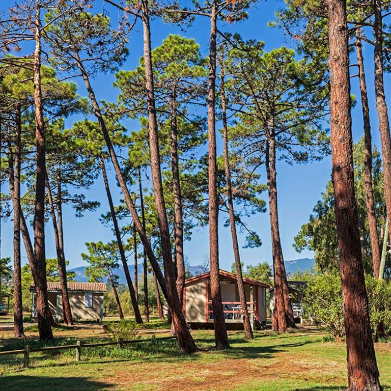 Camping Golfo Di Sogno - Chalet 1 Chambre (2 Adultes) sans Climatisation - 5