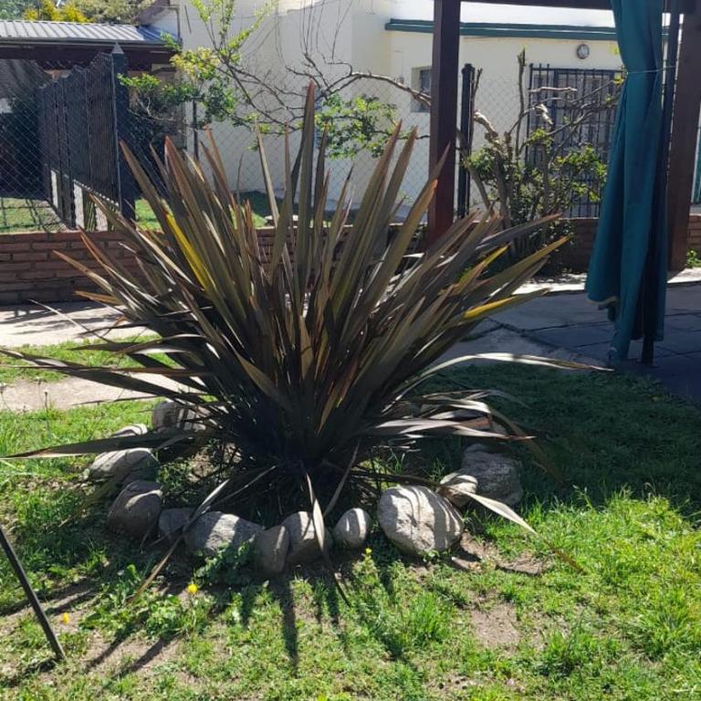 Posada Los Pájaros - Apartamento de 1 dormitorio - 7