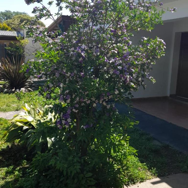 Posada Los Pájaros - Apartamento de 1 dormitorio - 12