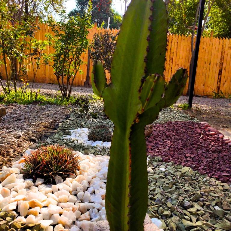 Moderna Cabaña con tinaja caliente - Casa de 2 dormitorios - 50