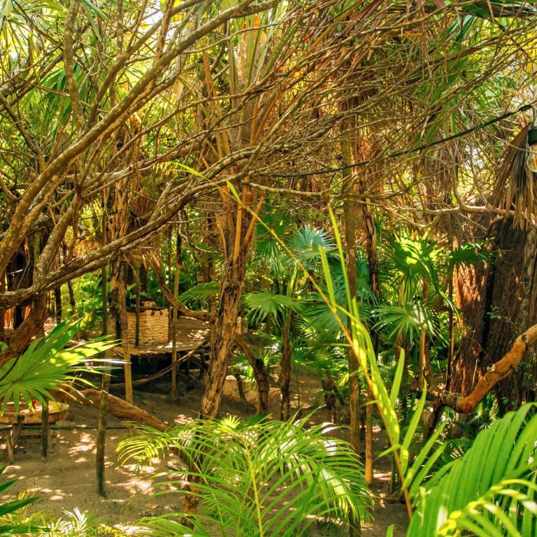 Ikal Tulum Hotel - Suite Maya con vistas al jardín - 14