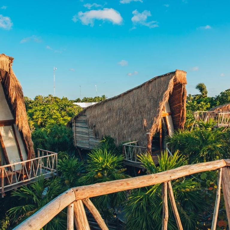 Ikal Tulum Hotel - Casa del árbol - 3