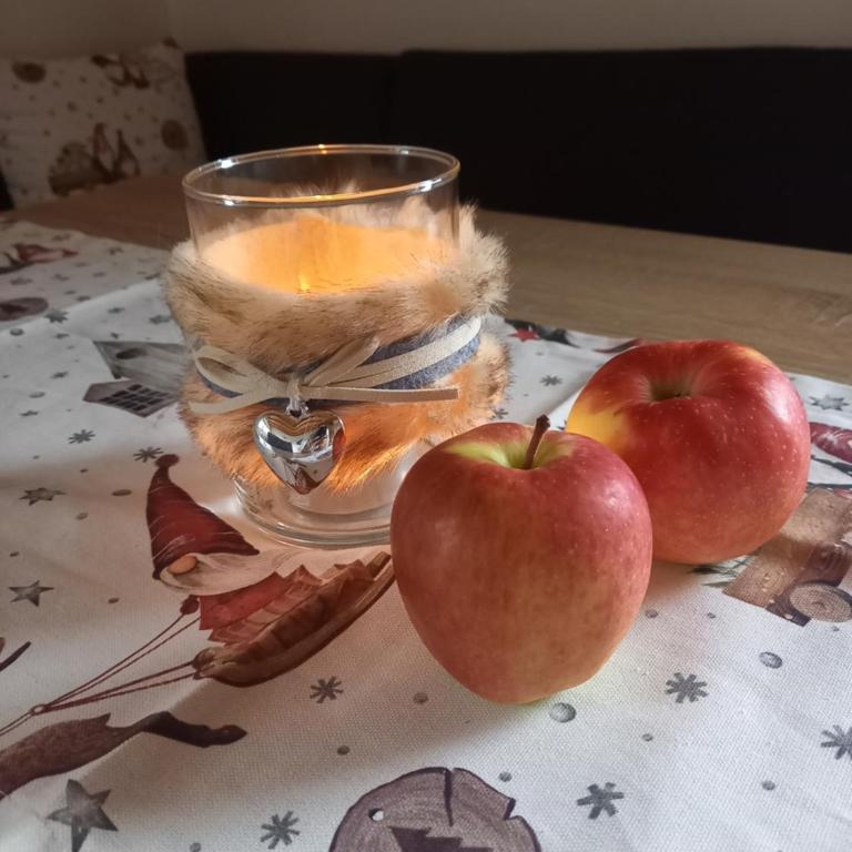 Pferdehof Ansteingut - Apartamento de 1 dormitorio - 2