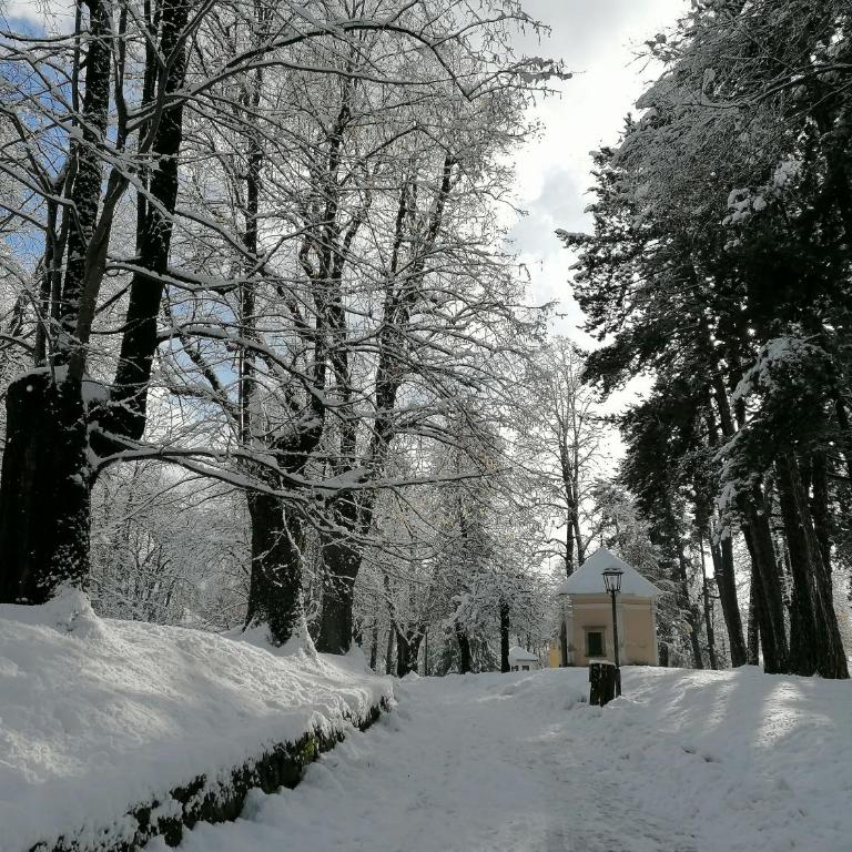 Appartamento Bellavista - Appartamento con Vista Montagna - 22