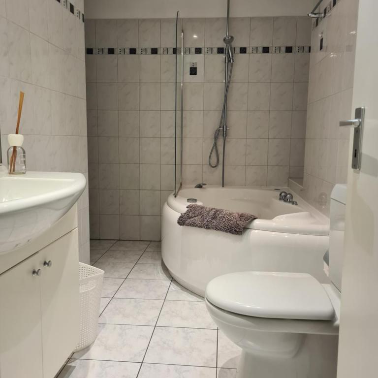 Renovierte Ferienwohnung im Zentrum von Locarno - Appartamento con 2 Camere da Letto - 9