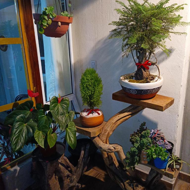 PentHouse con Roof Garden Privado Aeropuerto CDMX - Apartamento de 2 dormitorios - 10